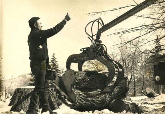 Tree Removal Services in Northampton, MA